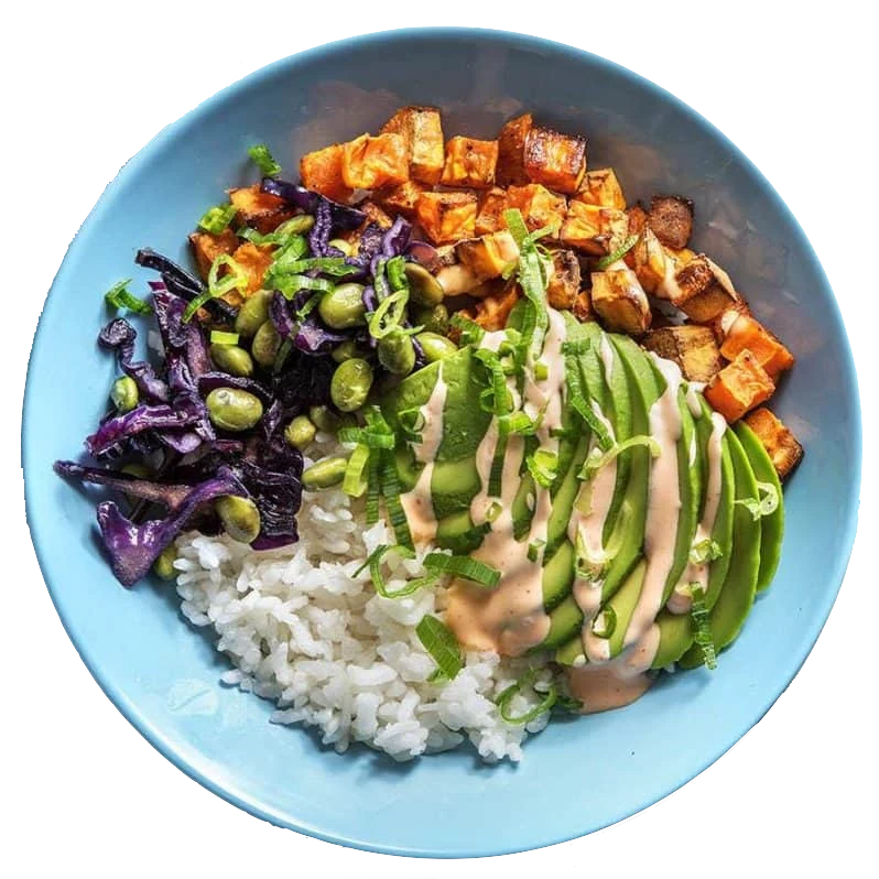 A colourful grain bowl: rice, sliced avocado, roasted sweet potato, edamame and red cabbage with a drizzle of sauce at Comfort Cove Senior Living in West Bloomfield, MI